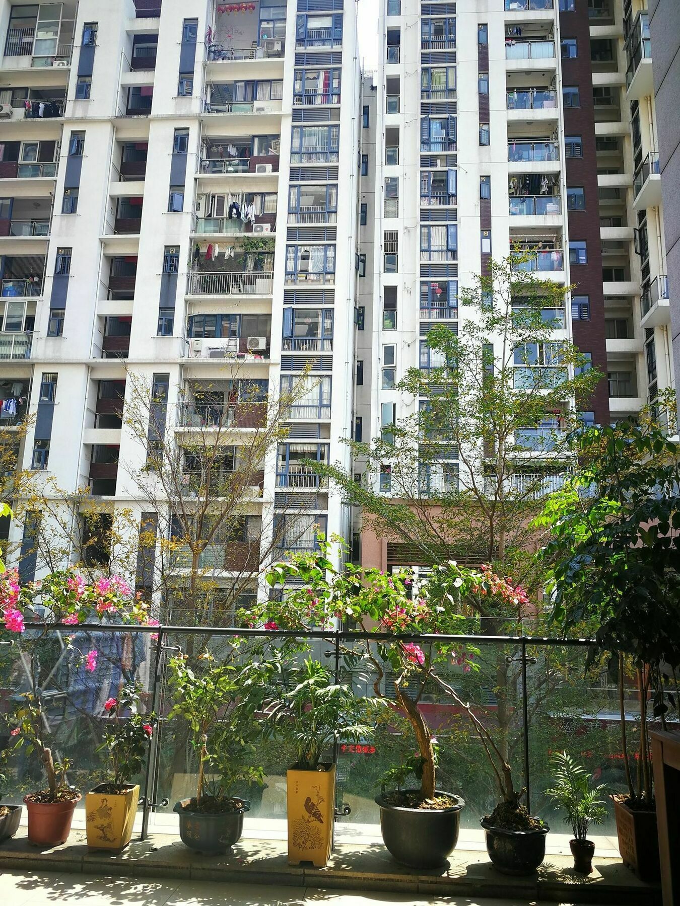 You Hostel Shenzhen - Adults Only Exterior foto